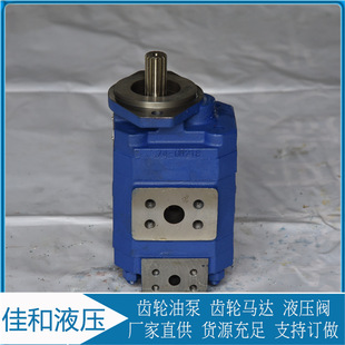 成工956G泊姆克齿轮泵 双联齿轮泵 1115432006