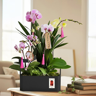 新中式蝴蝶兰提篮花盆银柳冬青年宵花福桶金属插花器花篮客厅摆件