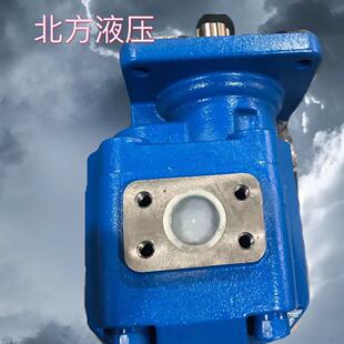 厂家供应 34齿轮泵 多种规格 B2R 供应JHP3140