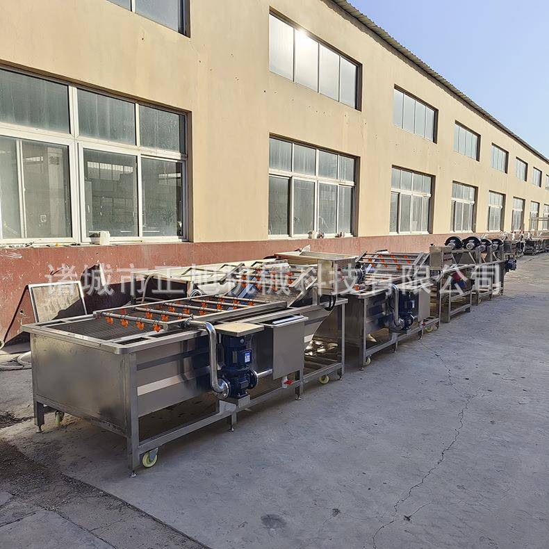 气泡清洗机果蔬清洗机莴笋高压喷淋鼓泡清洗设备不锈钢洗菜机