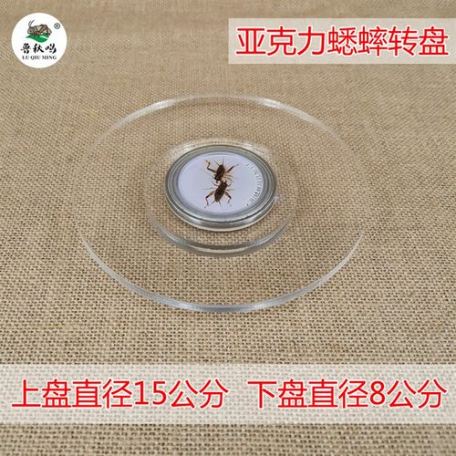 高档蟋蟀转盘压克力斗虫斗蟋蟀斗蛐蛐转盘斗虫蛐蛐拍照用具用品
