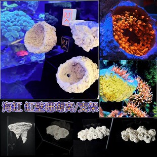 珊瑚磁吸奶嘴窝海缸强磁铁玻璃壁挂海葵窝支架悬浮空地毯鱼缸造景