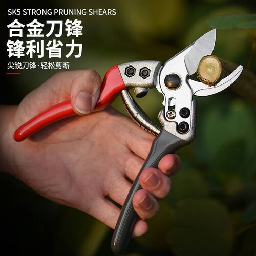 修枝剪刀花剪园艺剪花艺修u剪树枝剪刀果树剪花枝剪子修花粗枝省