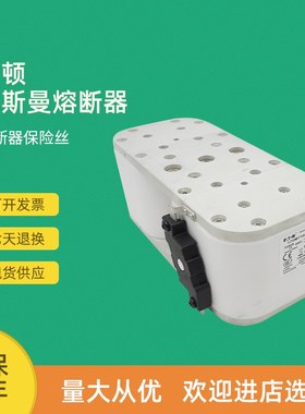 全新快速熔断器保险170M7119 170M7120 170M7121 17Y0M7122