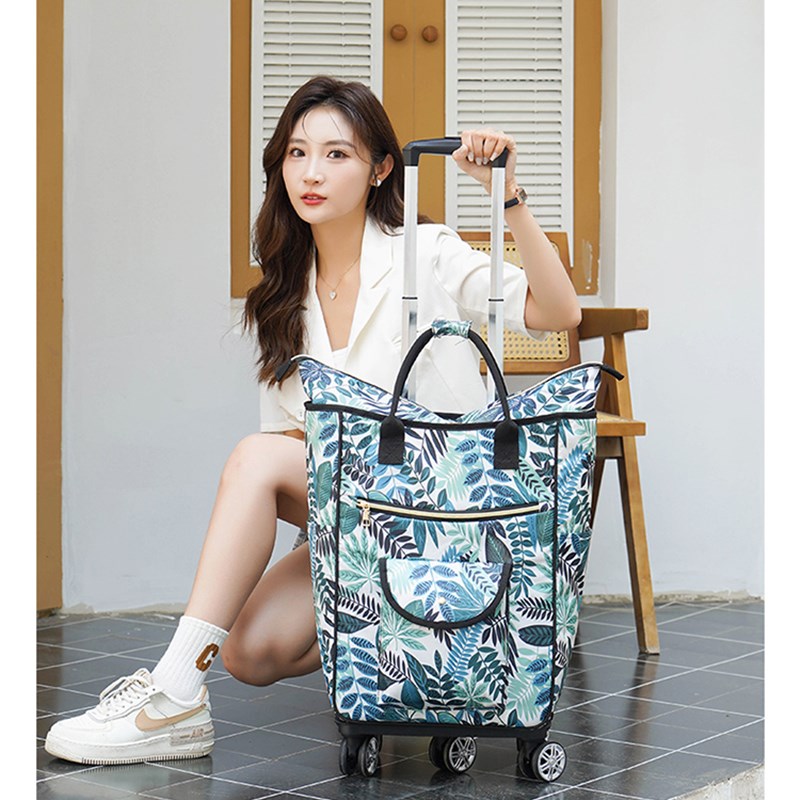 大容量双肩拉杆包背包万向轮买菜车小推车家用保温购物.袋折叠拉