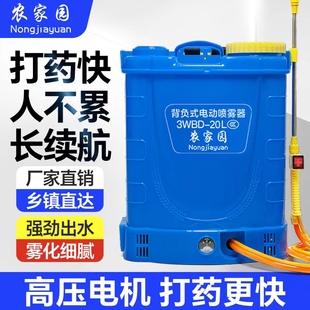 家用q锂电池高压泵农用喷洒打药机大棚消毒充电 电动喷雾器背负式