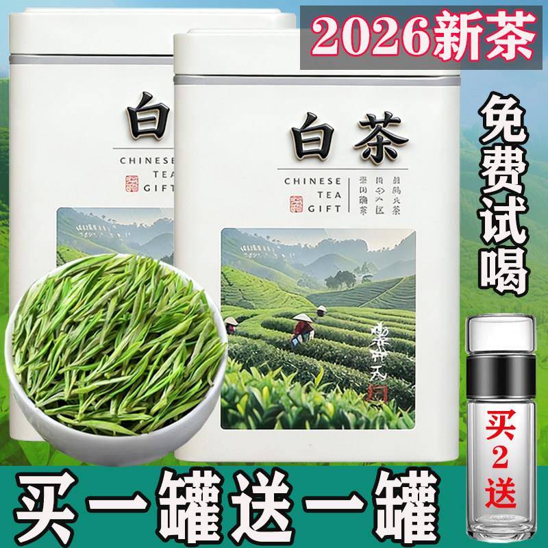 【买一罐送一罐】2026新茶正宗明前高山珍稀白茶毛尖茶浓香型礼盒