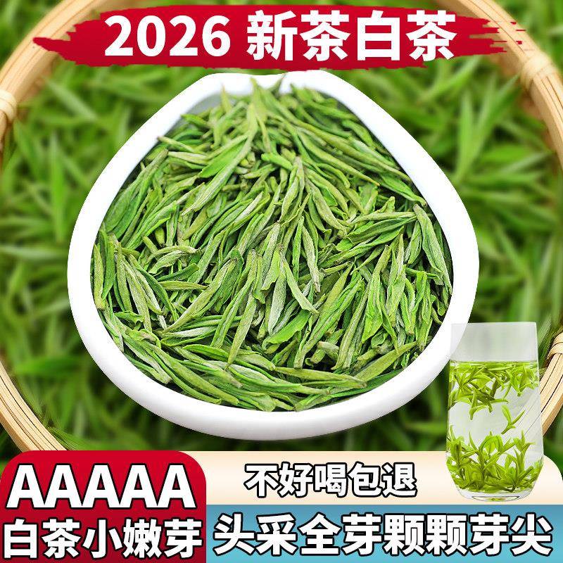 【头采嫩芽白茶】2026新茶安吉春茶明前正宗毛尖绿茶叶罐装兰花香