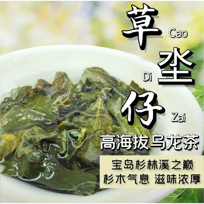 台湾高山乌龙茶龙凤峡高山茶冷泡茶高冷茶清香型滋味浓厚回甘足