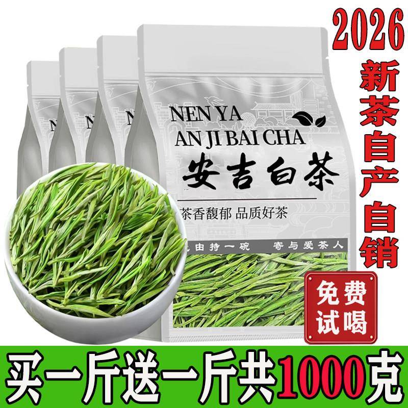 【2026新茶正宗白茶买一送一】自产自销高山新茶毛尖绿茶浓香型