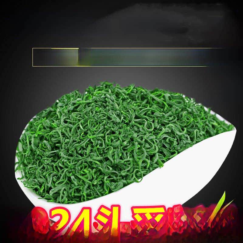 日照绿茶春茶半斤特级新茶山东特级250克散装炒青香板栗香持久冲