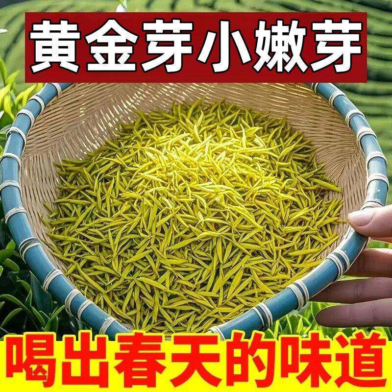 黄金芽【一斤】2025年新茶明前正宗高山黄金叶浓香耐泡型绿茶叶