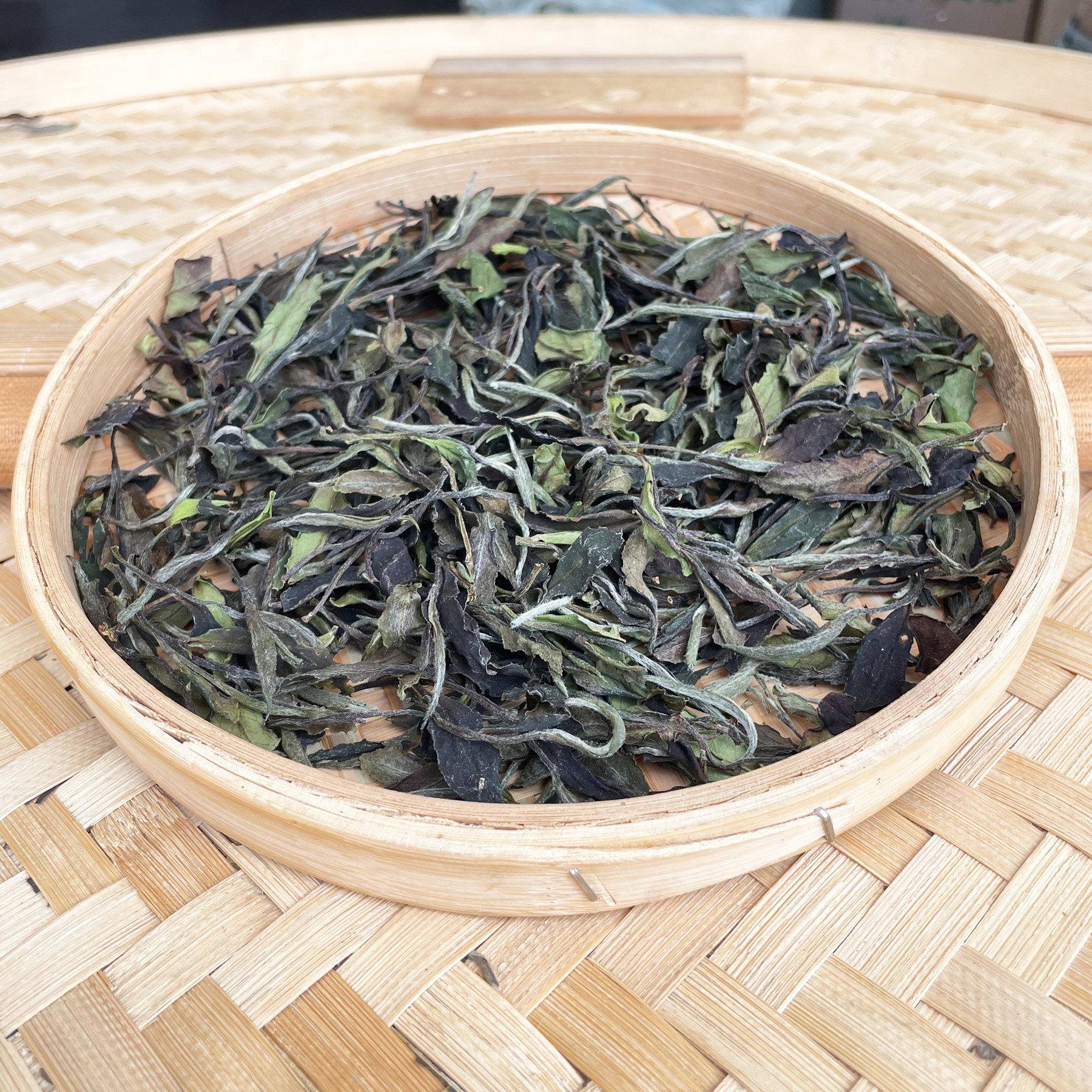 2025年新茶高山梅占二级白牡丹兰花香甜香政和白茶福鼎白茶郑和