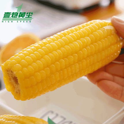 一炮黄尘鲜食黄糯玉米新鲜真空包装粗粮甜糯玉米10只简装