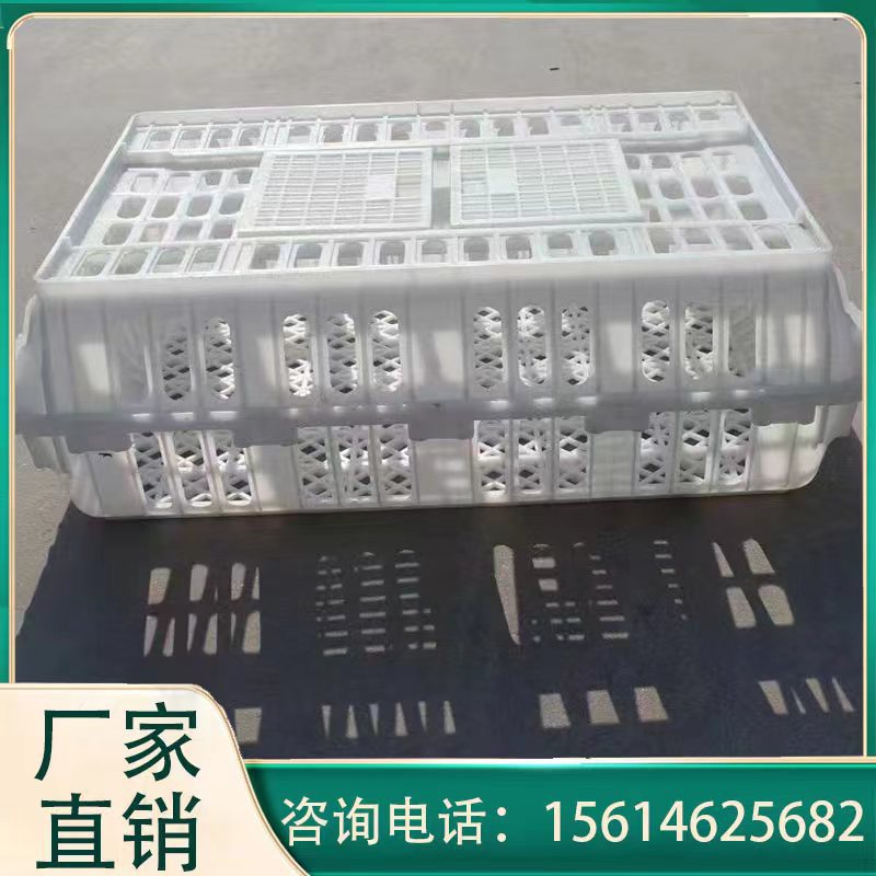塑料拉鸡筐子 鸡用周转箱 塑料鸡笼鸡筐批发现货源头厂家