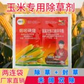 玉米地除草专用剂辣妹子精选氯氟吡氧乙酸异辛酯除草农药玉米田