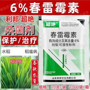 利邦超艳6%春雷霉素粉剂水稻瘟病具保护治疗专用杀菌剂正品老牌子