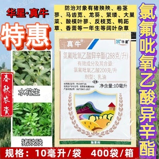 华星真牛氯氟吡氧乙酸异辛酯水花生净空心莲子草坪小麦玉米除草剂
