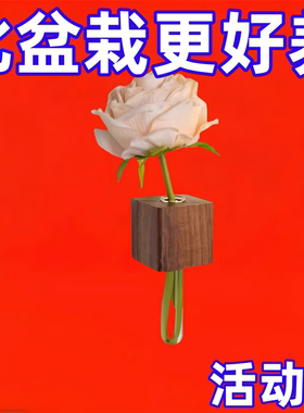 实木插花器创意试管插花器冰箱贴磁贴留言固定磁力贴水培植物花瓶