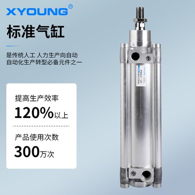 气动PRA40-100欧标标准气缸PRA40-50带磁标准气缸0822121005气缸