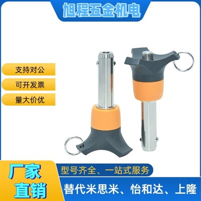 ZAA05-d8/10/d12/d16-L20/L10/20/25/30/35/40/45/50球头锁紧插销