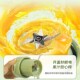 乐扣吨吨桶榨汁机无线便携式 小型多功能大容量电动榨汁杯2024新款