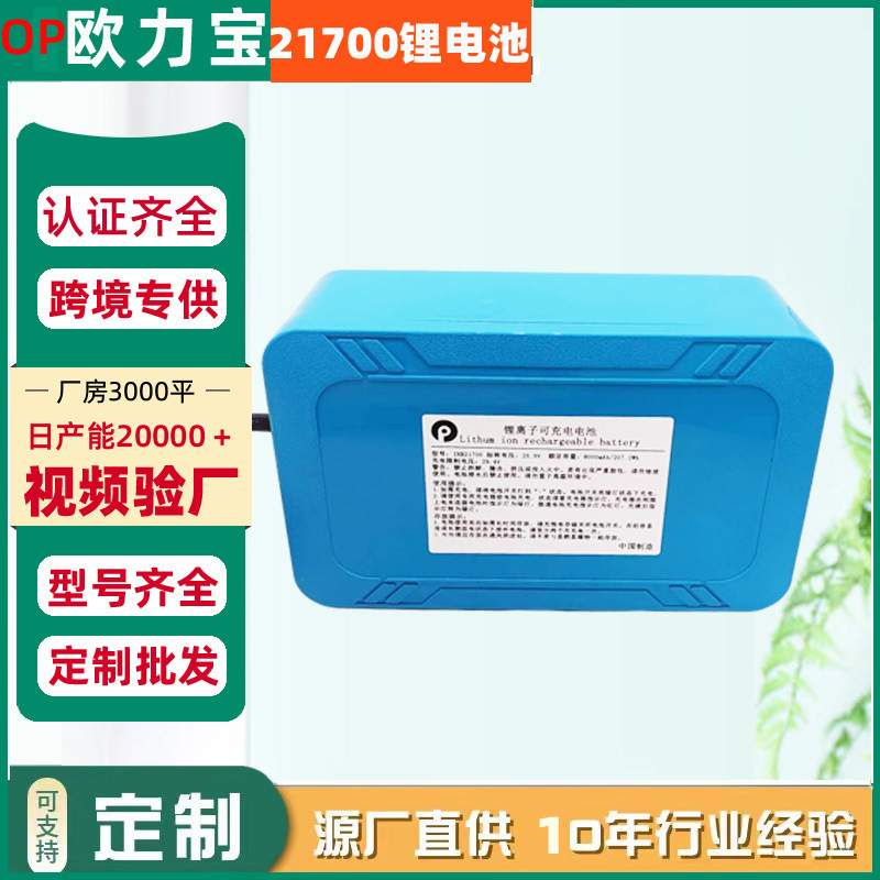 21700锂电池6S2P工控类吸尘器筋膜枪电钻门控果子机照明灯锂电池