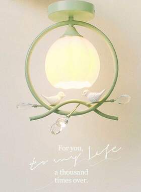 奶油风过道灯创意水晶小鸟阳台吸顶灯绿色玄关入户门厅走廊灯具ZH