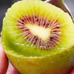 湖南麻阳特产正宗红心猕猴桃奇异果现摘新鲜当李水果整箱弥猴桃