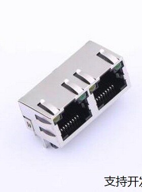 R-RJ45R08P-C205 乙太网连接器(RJ45 RJ11) RJ45 弯插 带LED 插件