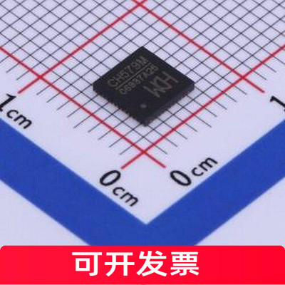 CH579M单晶片(U/MPSOC)Q