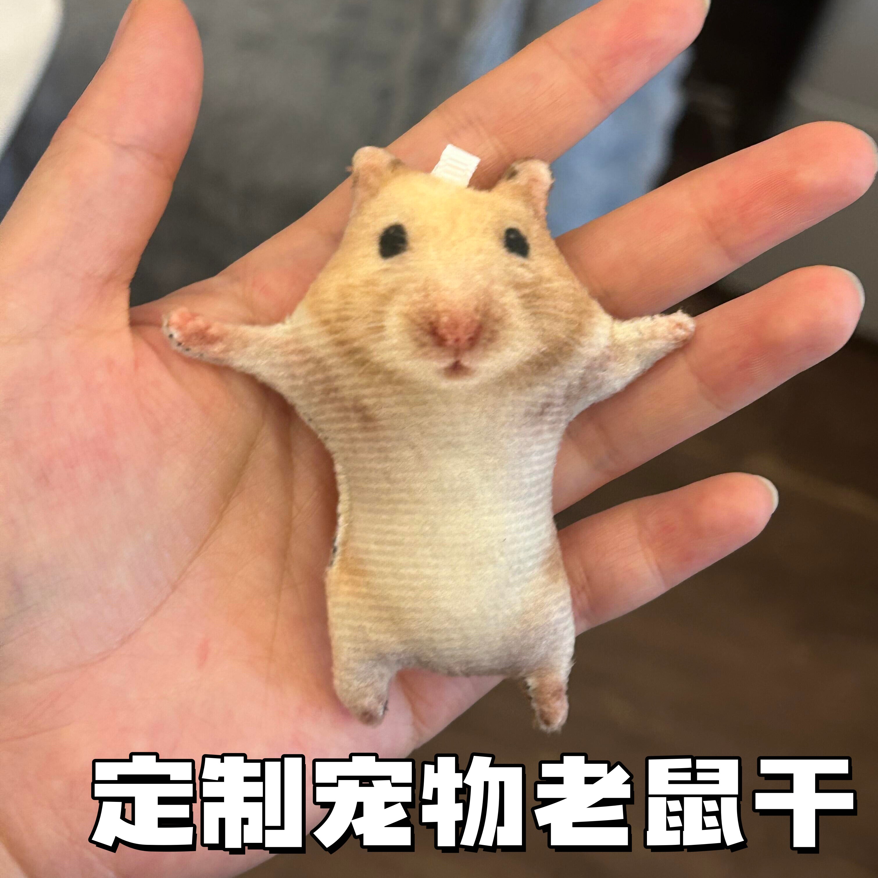 宠物老鼠干来图定制仓鼠猫咪狗狗迷你可爱带骨架摆造型玩偶挂件图片