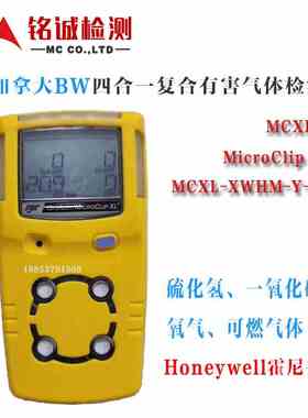 加拿大BW MC2-4便携扩散式四合一气体检测仪 BW MCXL-4测氧测爆仪