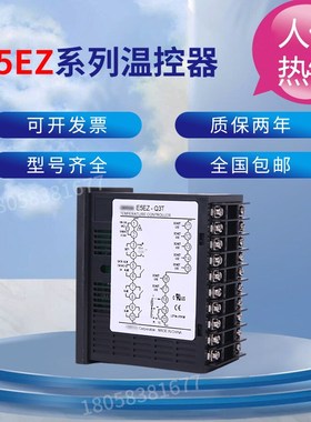 正品温控仪E5CZ/CN-R2MT Q2MT Q2 R2 R2MTD Q2MTD-500 R2T Q2T C2