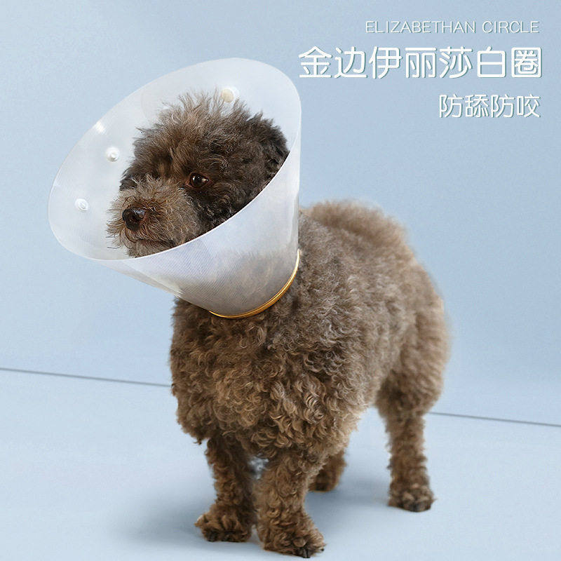 亚马逊宠物金边伊丽莎白圈 猫狗清洁美容头套防舔咬宠物项圈脖圈,宠物/宠物食品及用品,项圈/肩带,淘宝优惠券,粉丝福利购,淘宝优惠卷