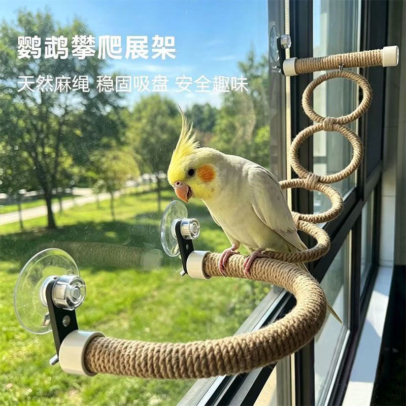 吸盘麻绳吊圈秋千站杆玄凤牡丹虎皮鹦鹉攀爬磨牙创意吊环玩具