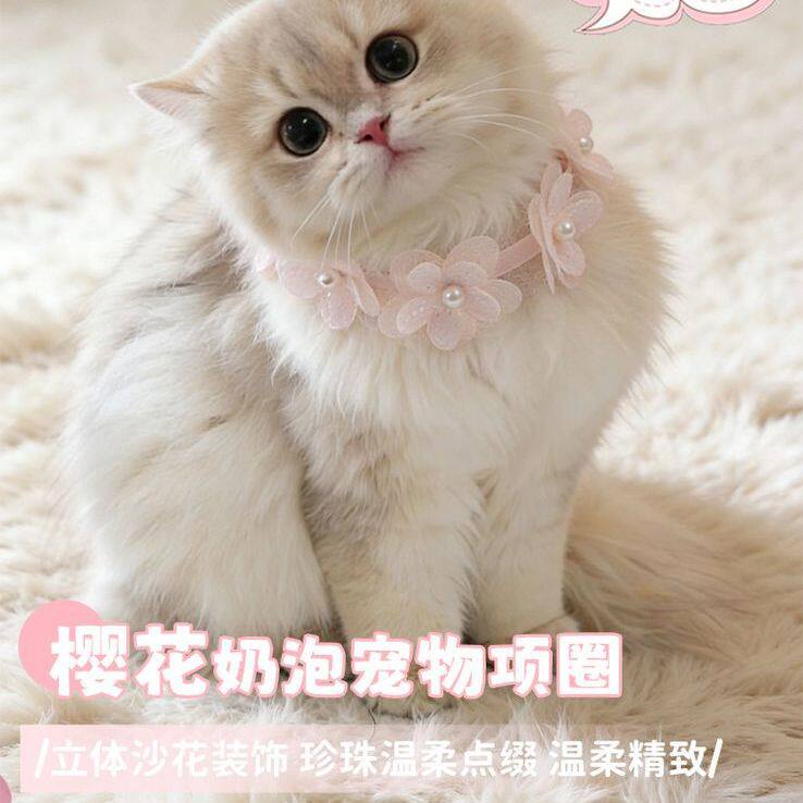 ins樱花奶泡宠物项圈可爱花朵猫咪围脖装饰品宠物项圈