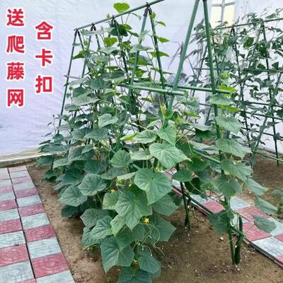 菜架户外角架爬藤架子花支架黄瓜月季花豆攀爬花园葡萄架杆庭院种