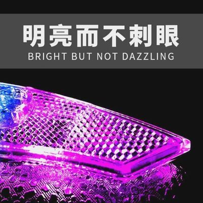 辐轮胎轮风火轮彩灯闪光灯夜骑条儿童自行车轮子感应发光车轮夜灯