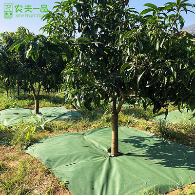 幼树幼苗专用隔草地膜农用大棚除草布防草布送地钉透气果园压草布