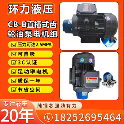 CBW-B10锯床齿轮油泵电机组CB-B10/B6/B4/B2.5/B16/B20/B25JZ润滑