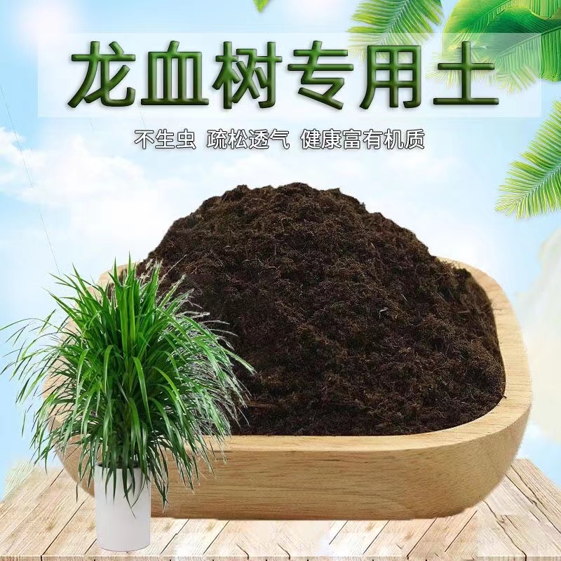 龙血树适用土龙血树营养土种植土壤种花泥土室内通用养花土有机肥-封面