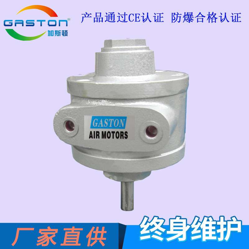 GASTON加斯顿小型气动马达 AMV1.3叶片式气动马达