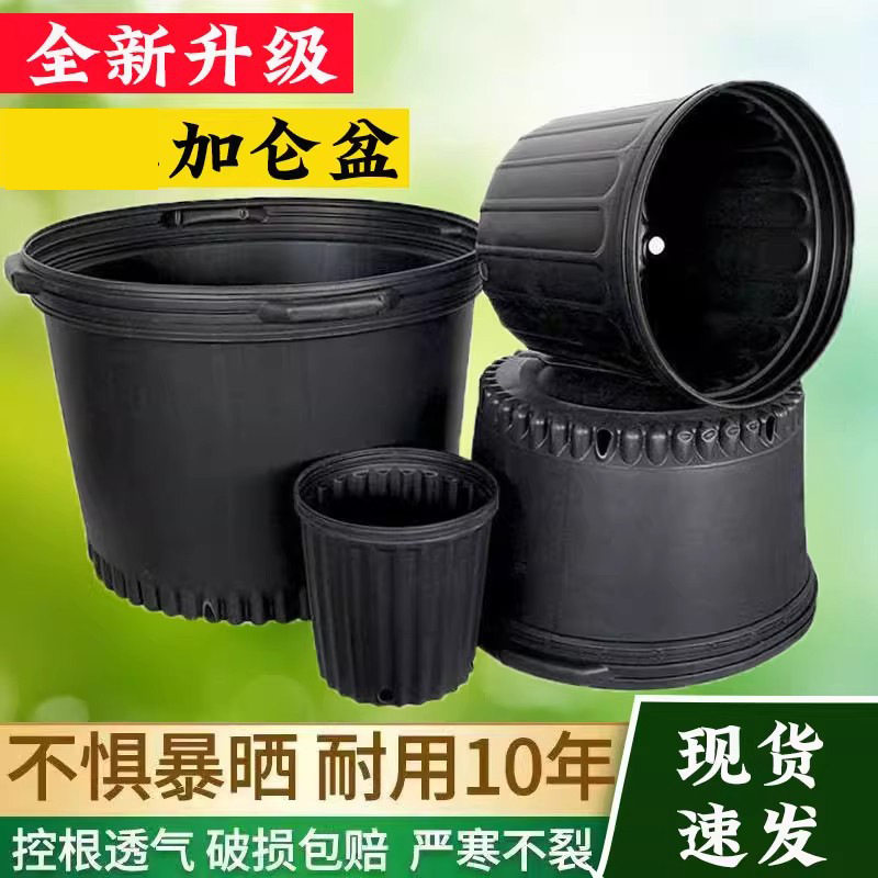 优质防老化加仑盆一加仑黑色软塑料厂家直销种植盆绿萝苗圃