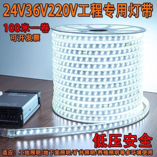 低压灯带36v24v白光暖光LED灯条户外防水隧道养殖场亮化装饰1米剪