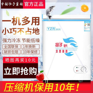 冰柜小型家用商用立式 冷冻冷藏两用迷你大容量节能冰柜