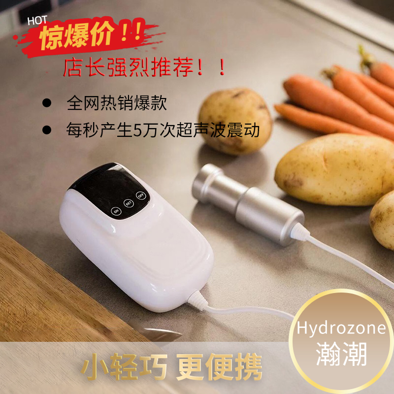 投入式超声波清洗机发生器震动洗菜洗鞋洗碟器眼镜首饰手表清洗棒