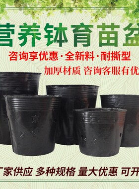 营养钵黑色营养杯塑料育苗杯一次性黑碗多肉花盆S加厚育苗袋育苗