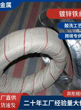 镀锌铁丝厂家Qh195材质建筑用扎丝电镀锌铁丝冷镀锌丝 铁线