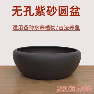 宜兴紫砂无孔古法养鱼盆水养植物盆观背青鱂鱼缸R沉木假山微景观